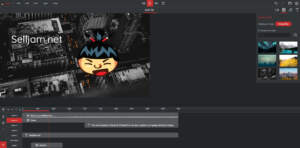 Sumo video screenshot